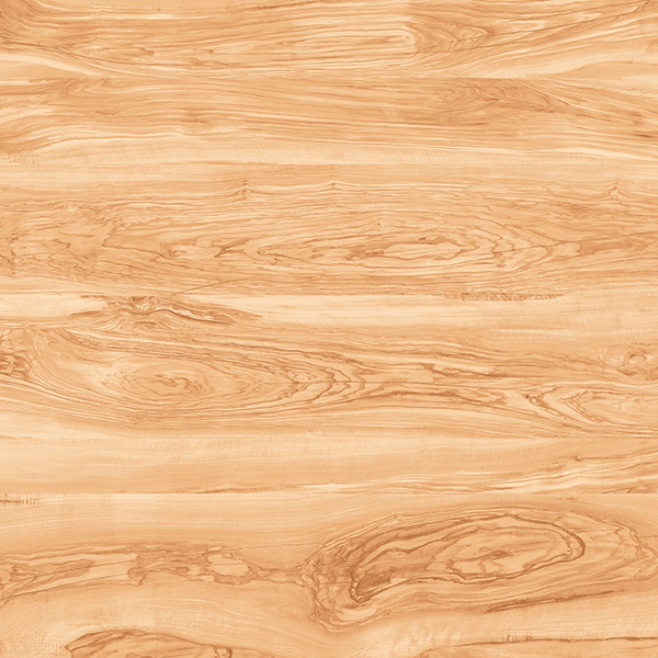 6702 COSTAL WOOD