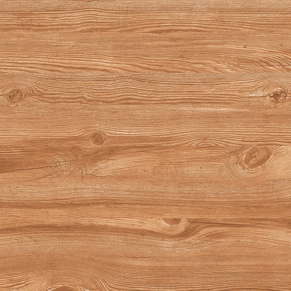 6703 VARSES WOOD